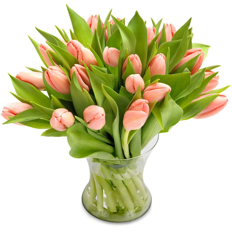Zacht Roze Tulpen