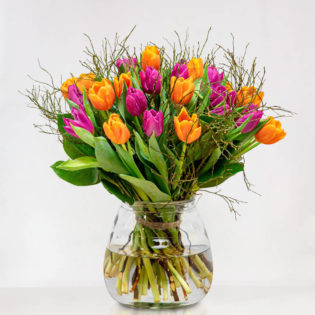 Kleurrijke Tulpen Gemengd