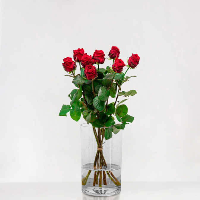 Lange rode rozen met grote knop