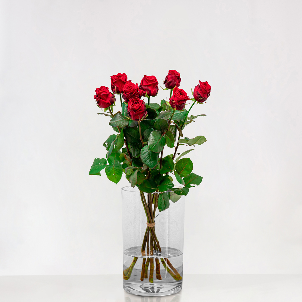 grillen spier toewijding Lange rode rozen met grote knop | Bloemen Bezorgen Eindhoven